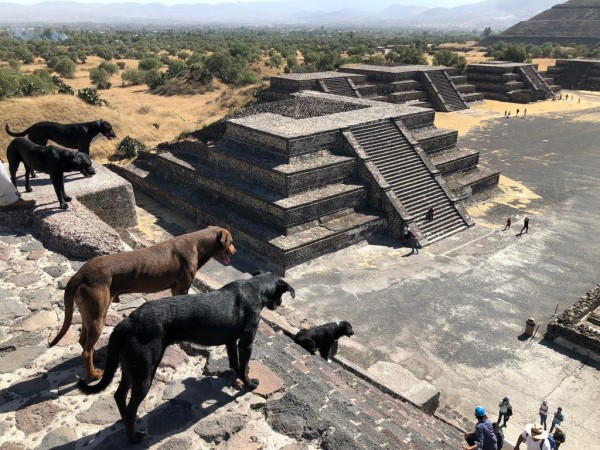 documentary-teotihuacan-mexico